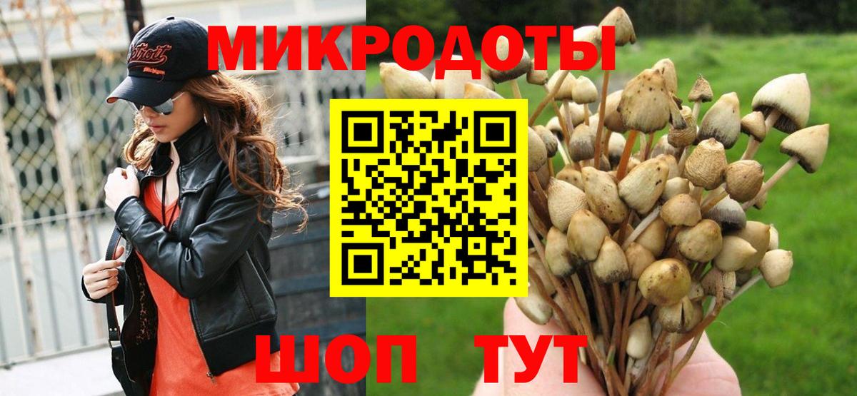 Галлюциногенные грибы GOLDEN TEACHER  Вход с VPN  Волгодонск  Псилоцибиновые грибы GOLDEN TEACHER 