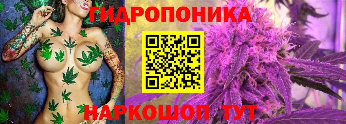 Конопля марихуана Волгодонск